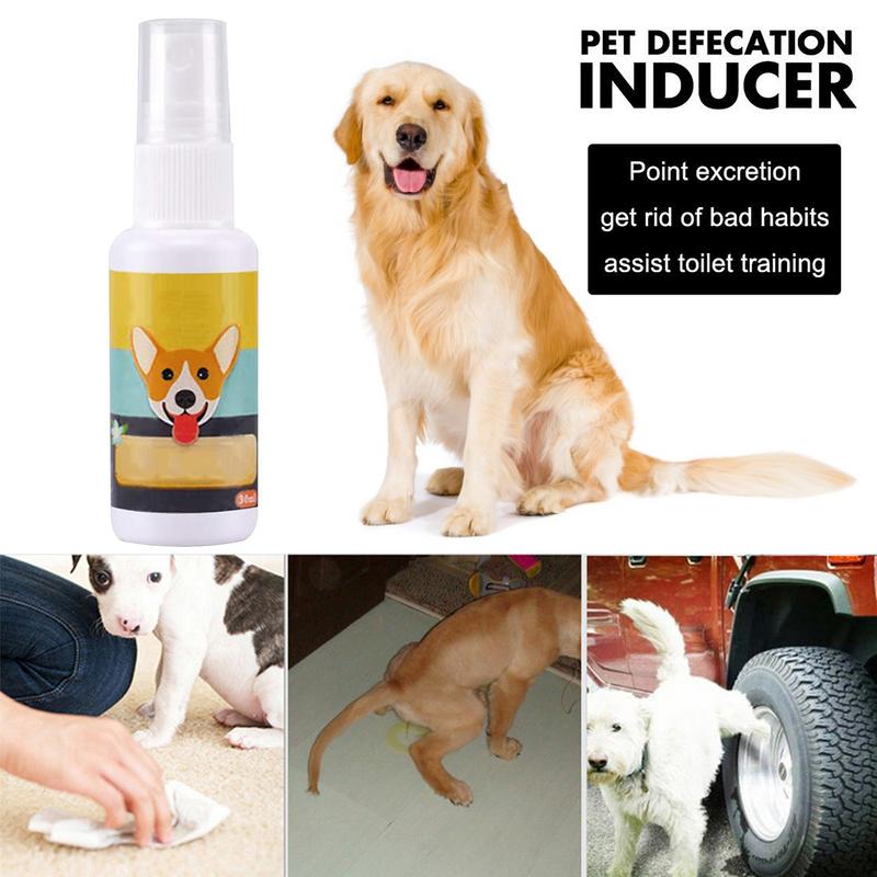 1PCS Dog Potty Train Spray por - Travel Accessories In Train recensione e prezzo