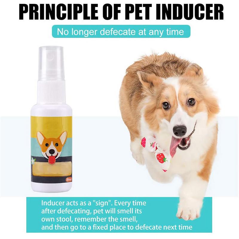 1PCS Dog Potty Train Spray por - Travel Accessories In Train recensione e prezzo
